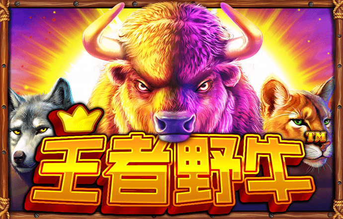 三亿体育网页版